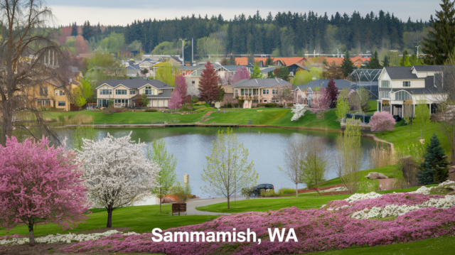 Bookkeeping Sammamish, WA